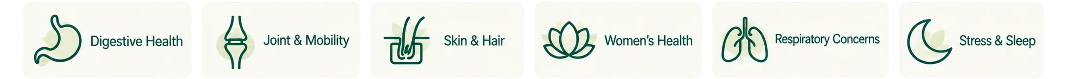 Explore our approach to common health concerns with Ayurvedic care and lifestyle guidance